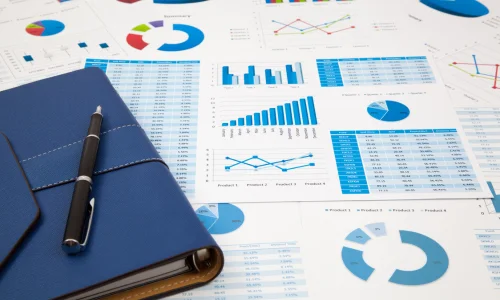 Financial Reporting