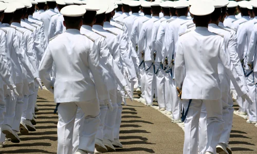 Engine Cadet job