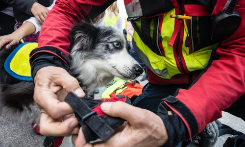 Rescue Specialist