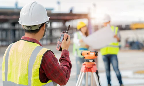 Surveyor job